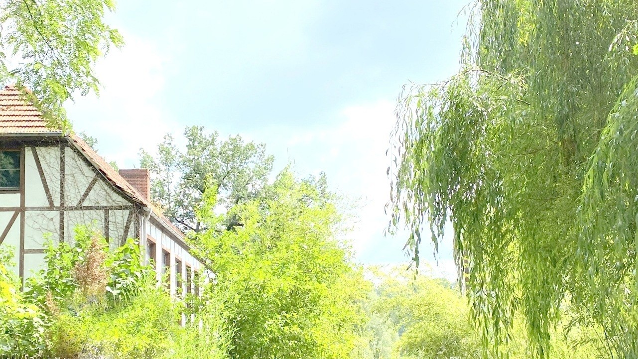 18_nachhause-immobilien__68489_bild Exklusive Wohnkunst am Wasser ... Luxuriöse Eigentumswohnung mit Garten und großer Terrasse im historischen Mühlengebäude von Grimma