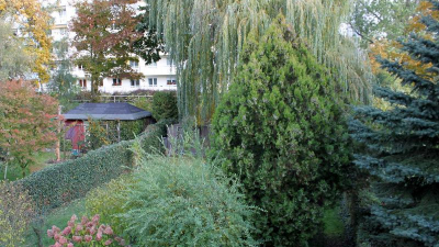 Der Garten bietet nicht nur ausreichend Spiel- und Rasenfl&auml;che,