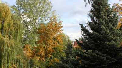 ... und einen unglaublich sch&ouml;nen Ausblick zum Erholungspark.
