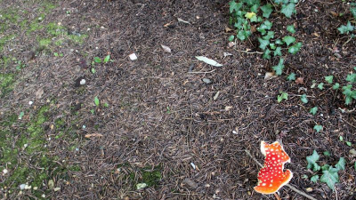 Ein letzter Blick in den Vorgarten des Einfamilienhauses mit Erinnerungen an den Sommer.