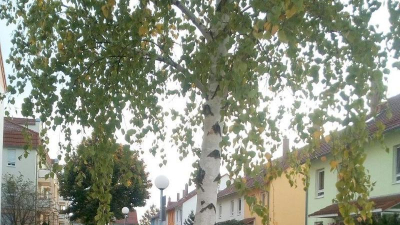 Angeboten wird in der Sportstadt am See