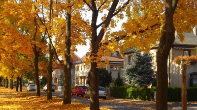 Der Park im Zentrum von Marienbrunn wurde M&auml;rchenwiese getauft.