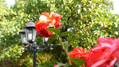 Ein gro&szlig;es Haus f&uuml;r eine gro&szlig;e Familie ... Ab sofort vom Baukindergeld profitieren