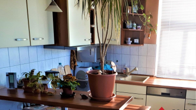 mit 61 m&sup2; aufgeteilt in 3 Zimmer