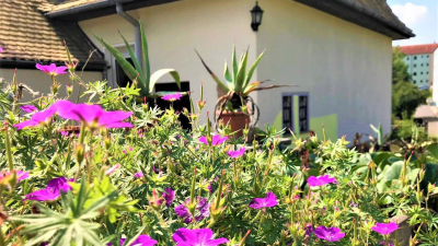 Wo l&auml;sst es sich besser leben ...