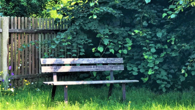 Carport und Stellplatz sowie 4 Zimmern