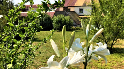 auf ca. 80 m&sup2; Wohnfl&auml;che mit viel Potential.