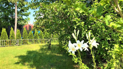 Die zum Verkauf stehende Immobilie