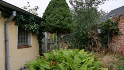 Augenmerk wurde dabei auf den Einbau