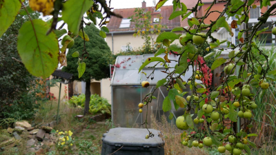 von modernen, isolierverglasten Fenstern