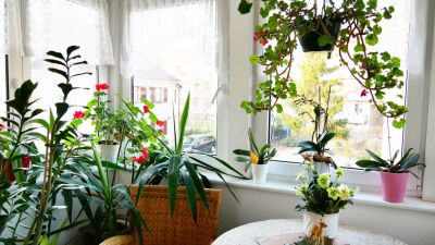 in Marienbrunn im S&uuml;den von Leipzig.