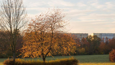 Daher bekamen Stra&szlig;en und Wege um den Park herum M&auml;rchennamen.
