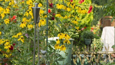 Viel Gr&uuml;n s&auml;umt hier die Stra&szlig;en