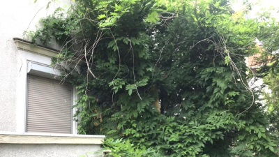 Angeboten wird eine unsanierte Doppelhaush&auml;lfte