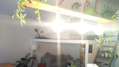 Zum Verkauf steht ein 1-Zimmer-Apartment.