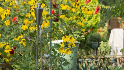 Viel Gr&uuml;n s&auml;umt hier die Stra&szlig;en