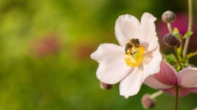 Die angebotene Immobilie liegt