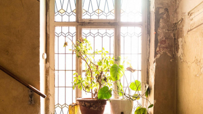 die nach einer umfangreichen Sanierung