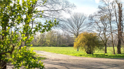 Sanierung des bestehenden Wohngeb&auml;udes