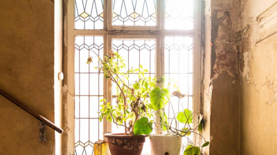 die nach einer umfangreichen Sanierung