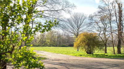 Sanierung des bestehenden Wohngeb&auml;udes