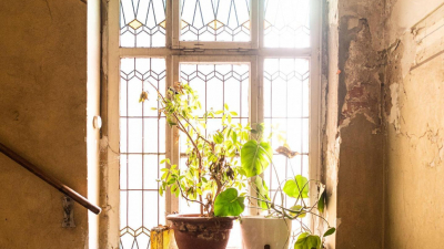 die nach einer umfangreichen Sanierung