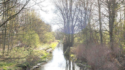 gut nutzbarer Wohneinheiten.