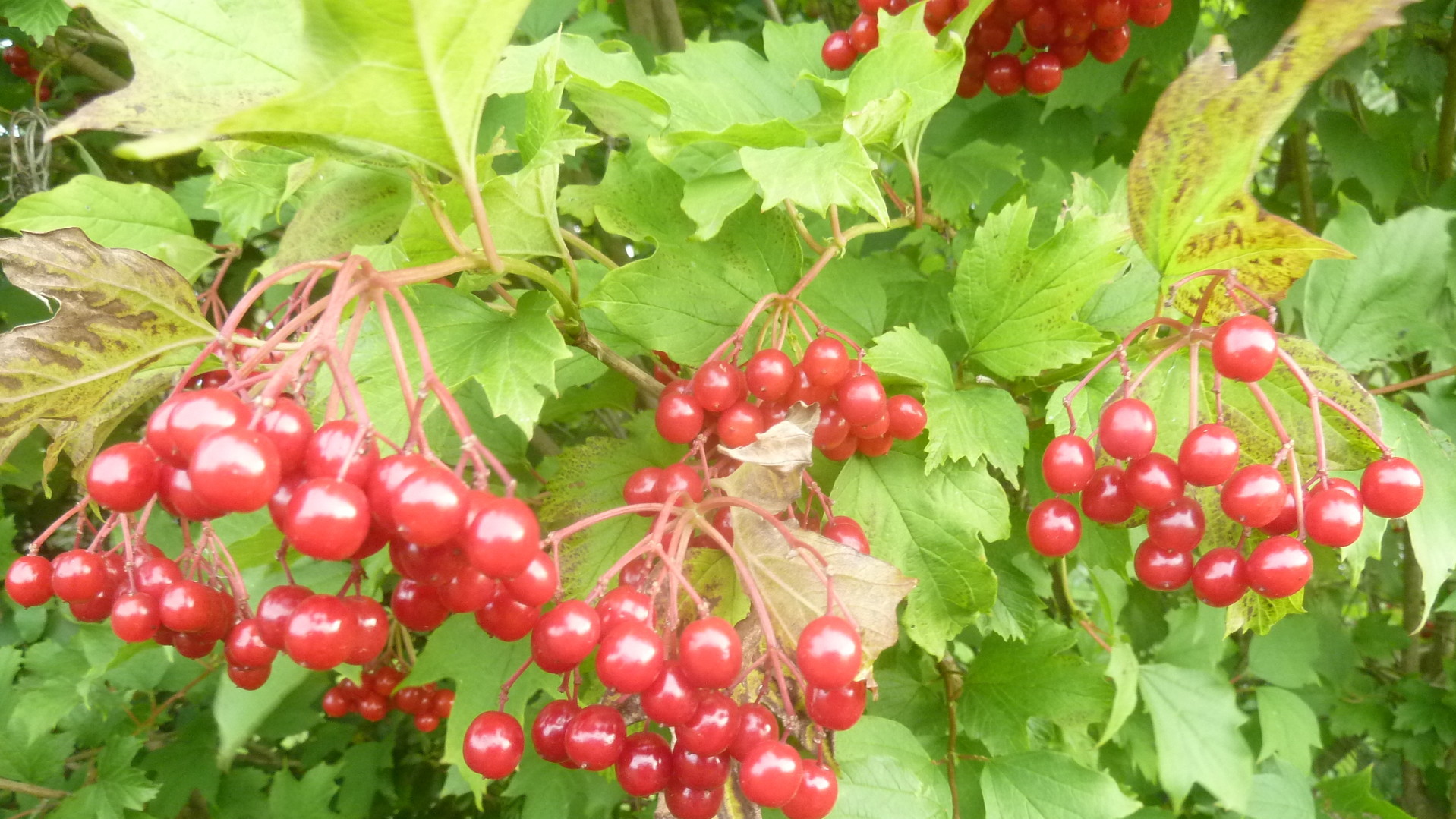 Hier g&ouml;nnt uns die Welt eine Pause - 