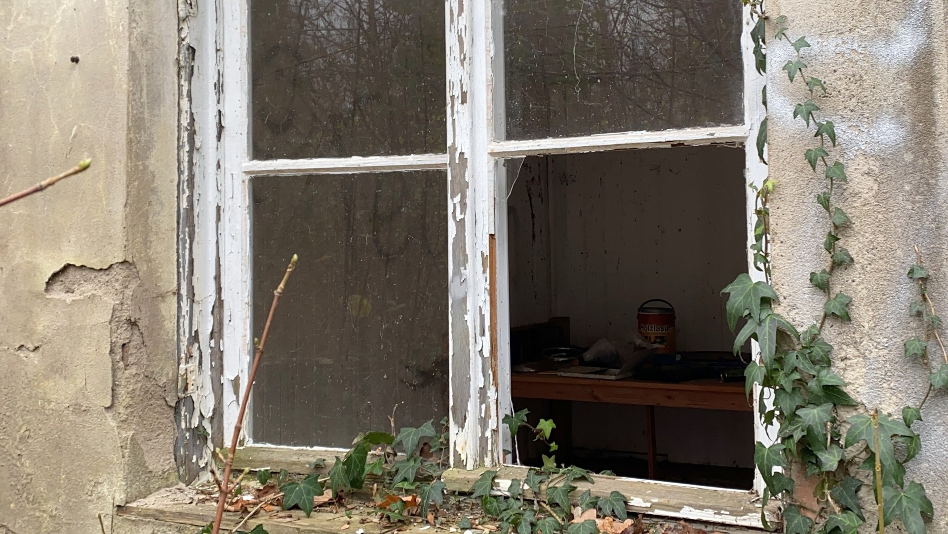 f&uuml;r Naturliebhaber in der Mulde Metropole Grimma-