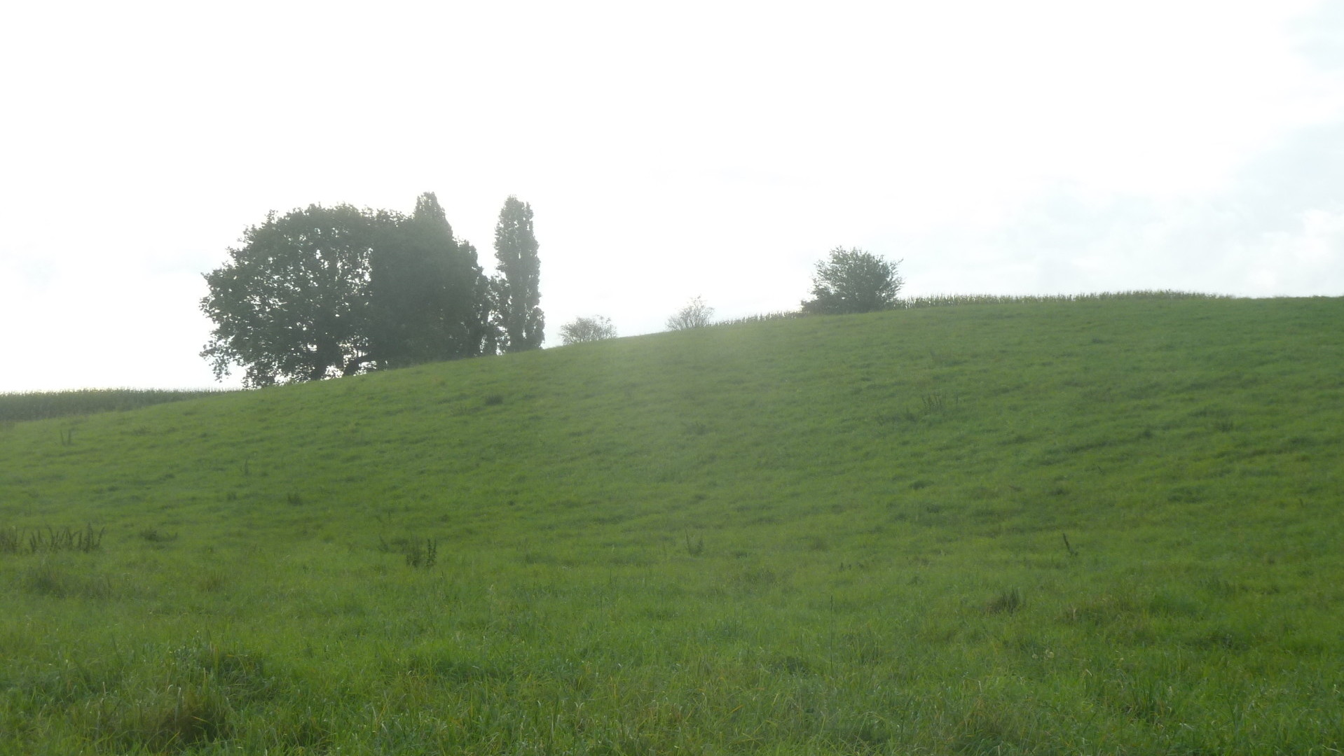 davon betragen davon betragen die zu Wohnzwecken genutzte Verkehrsfl&auml;che