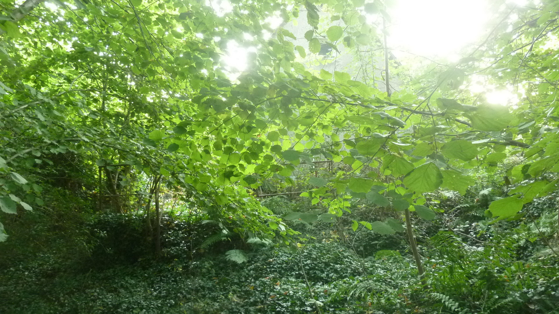 eine nicht unterkellerte eingeschossige Wohnbebauung