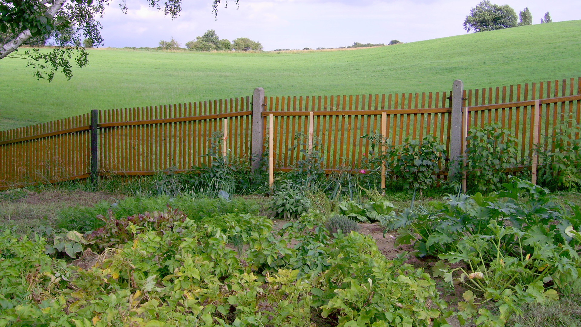 Es handelt sich um ein Grundst&uuml;ck in Teilung- 