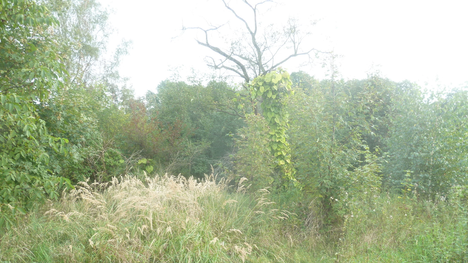 Die Vermessung zum Zweck der Bildung von neuen Flurst&uuml;cken 