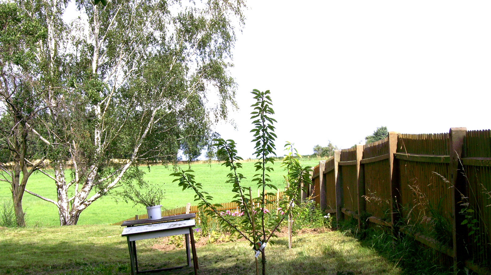 &uuml;ber die Stra&szlig;en &bdquo;D&ouml;bener Weg&ldquo; oder &bdquo;Am Schomerberg&ldquo;-  