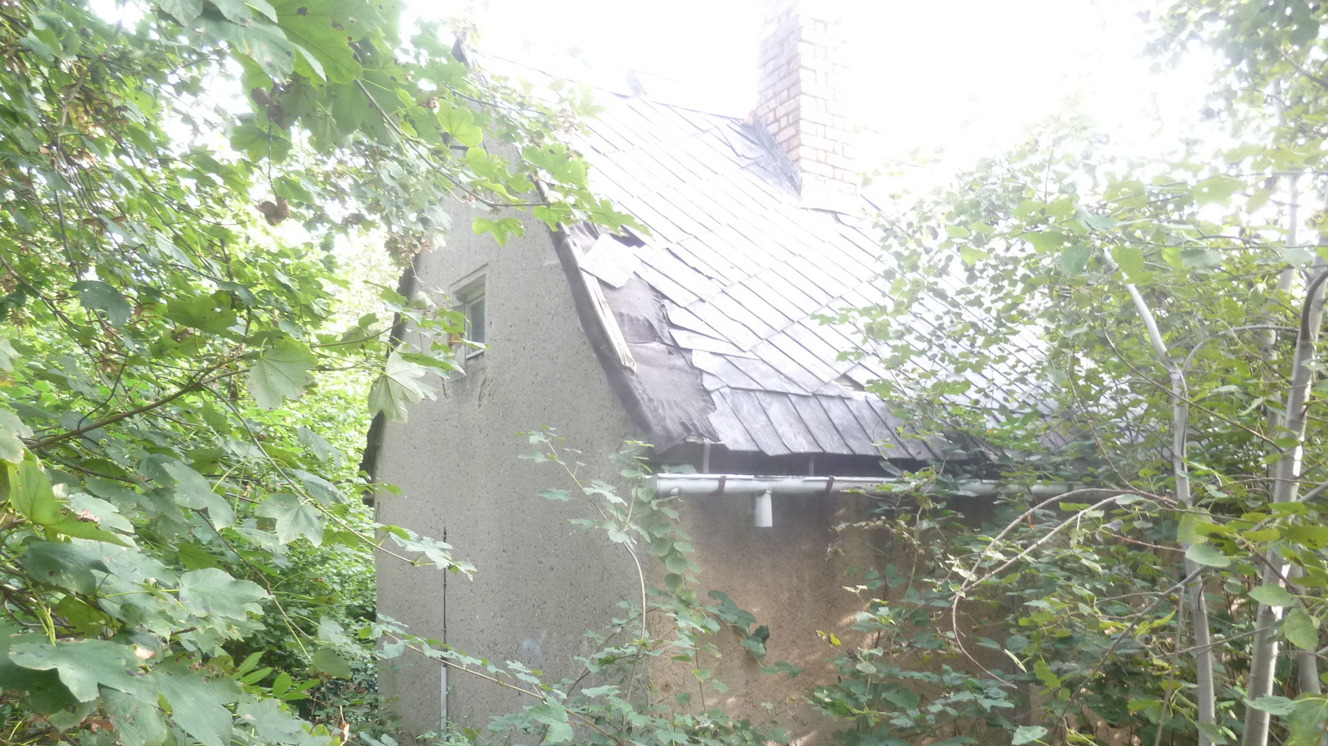 Das Grundst&uuml;ck liegt hochwasserfrei- 