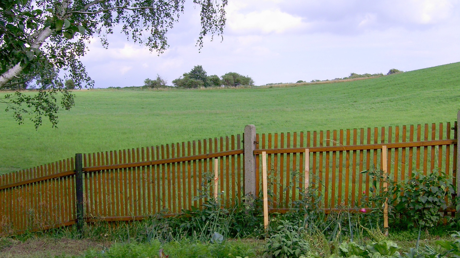 in der N&auml;he der Grimmaer Muldenbr&uuml;cke- 