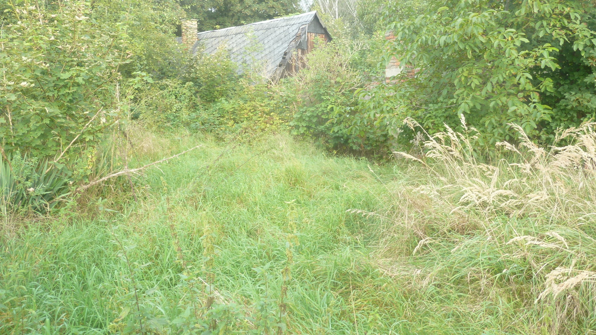 Gleichzeitig dominieren hier landschaftliche- 