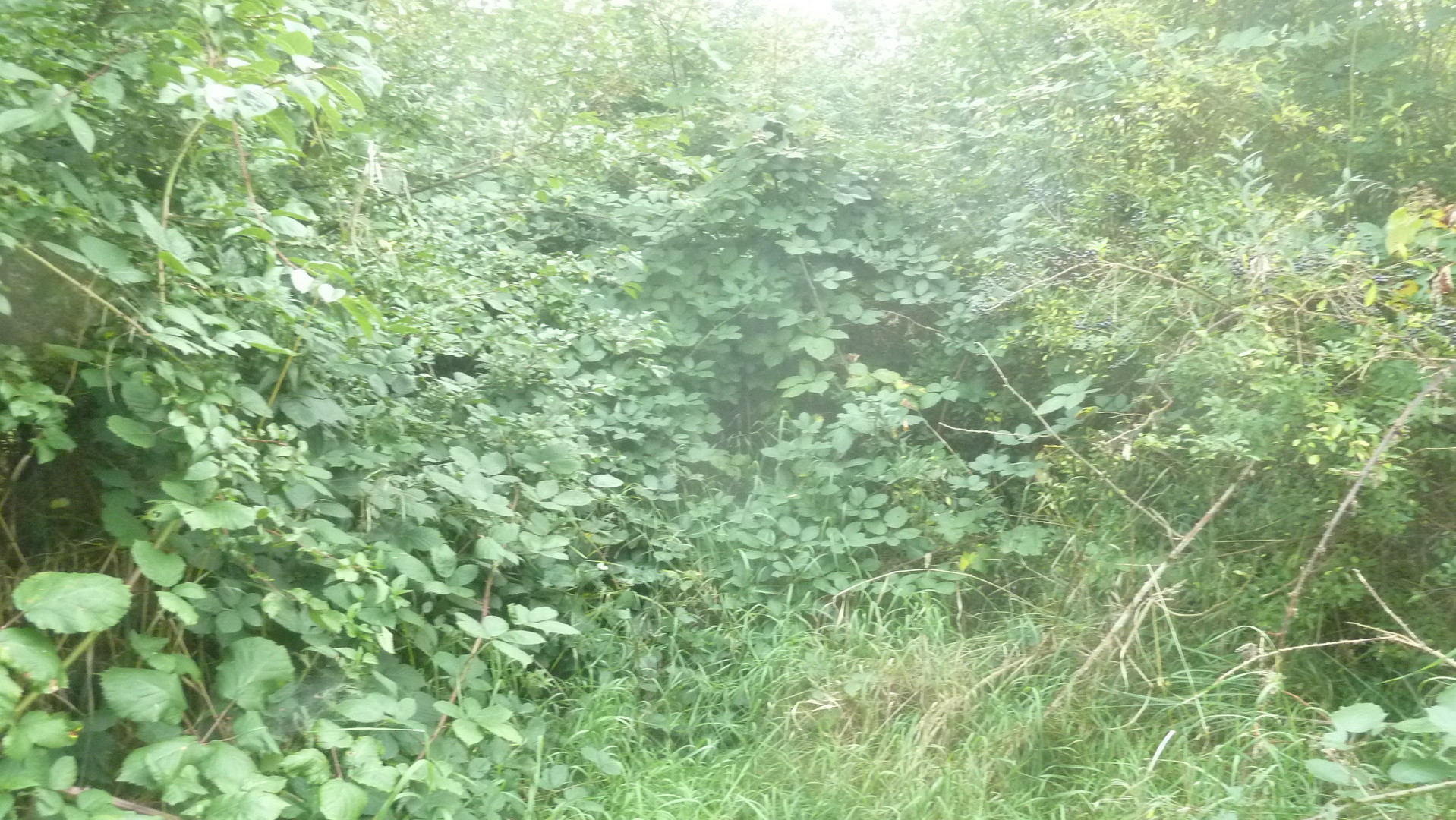 er&ouml;ffnen sch&ouml;ne Landschaftsausblicke 