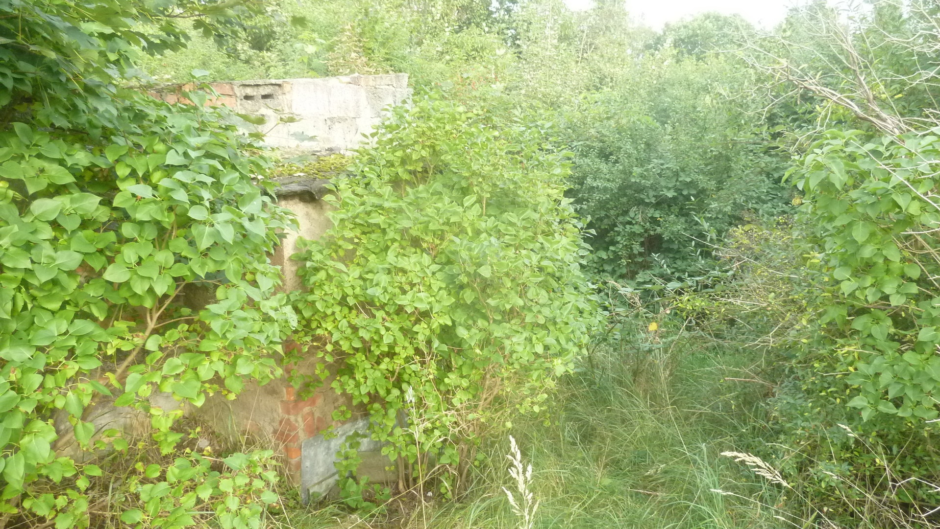 z-B- die Anlage von Trockenmauern 