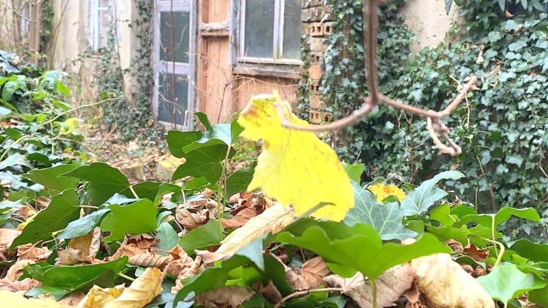 Sonnige Wiesenfl&auml;chen mit reizvollen Ausblicken 