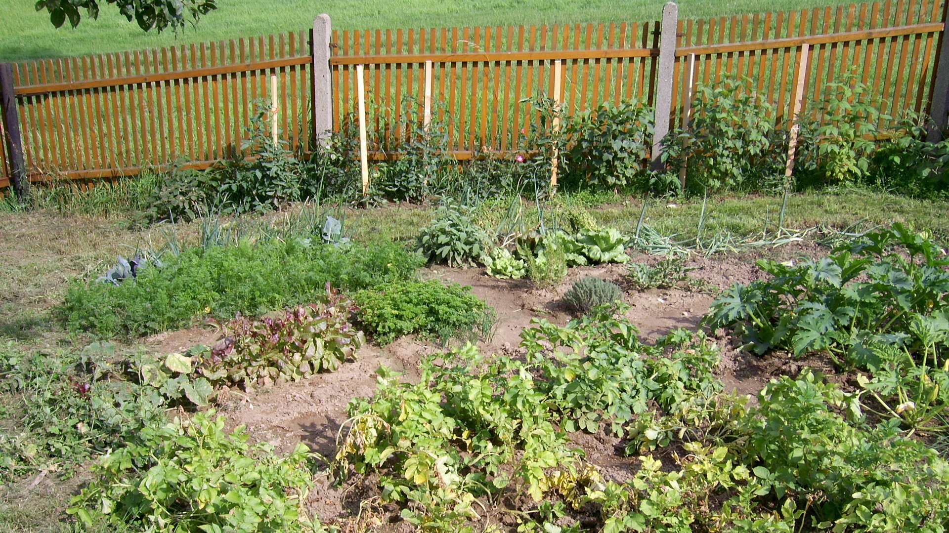 liegen vor dem Haus -