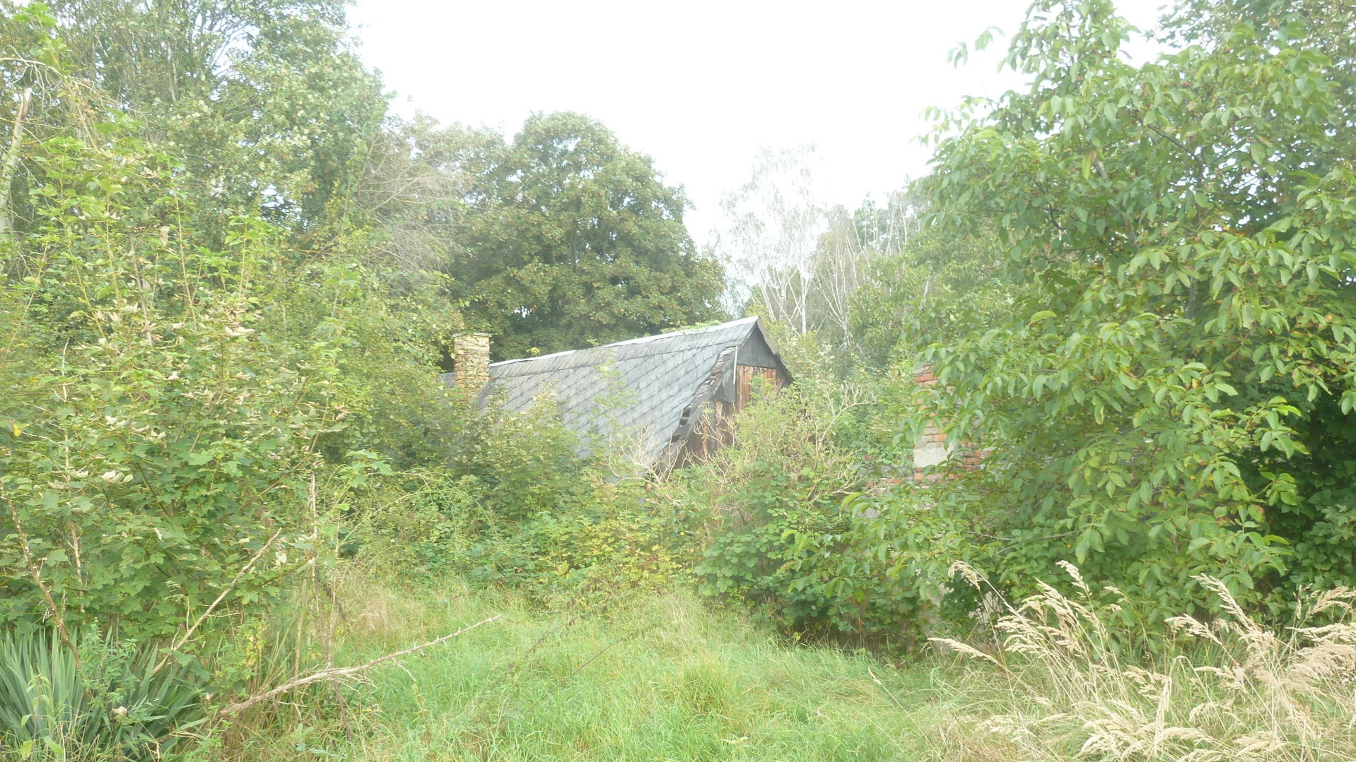 Ein Bebauungsplan f&uuml;r das Flurst&uuml;ck existiert- 