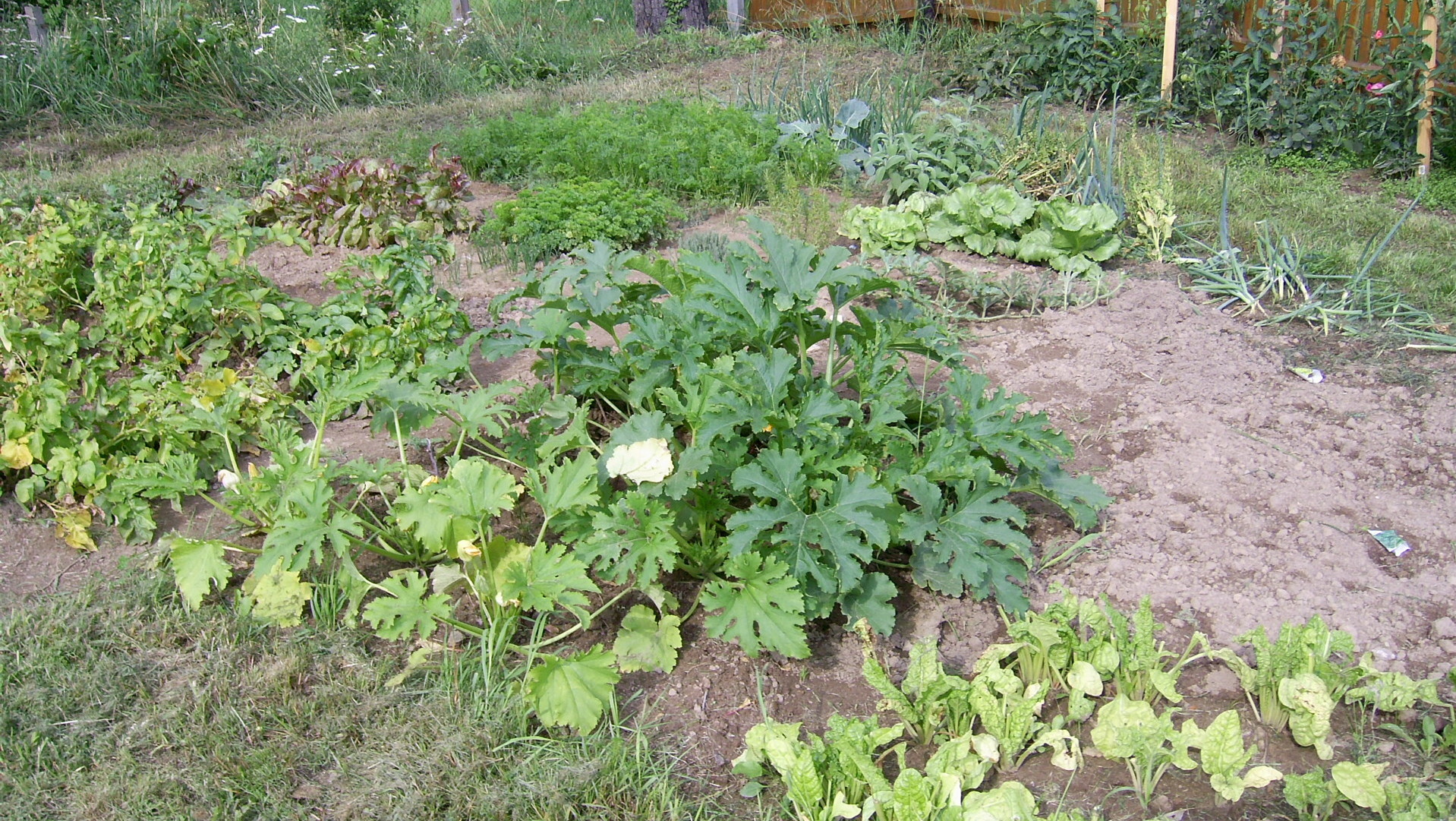 Die planungsrechtliche Beurteilung