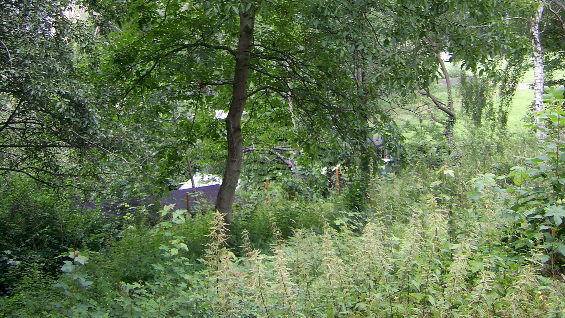 und liegt zwischen zwei Wohnh&auml;usern- 