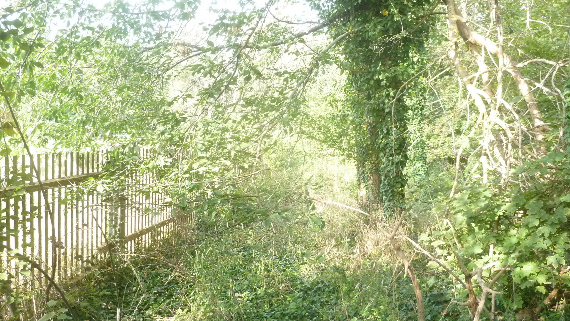 setzt die Aufstellung eines Bebauungsplans 