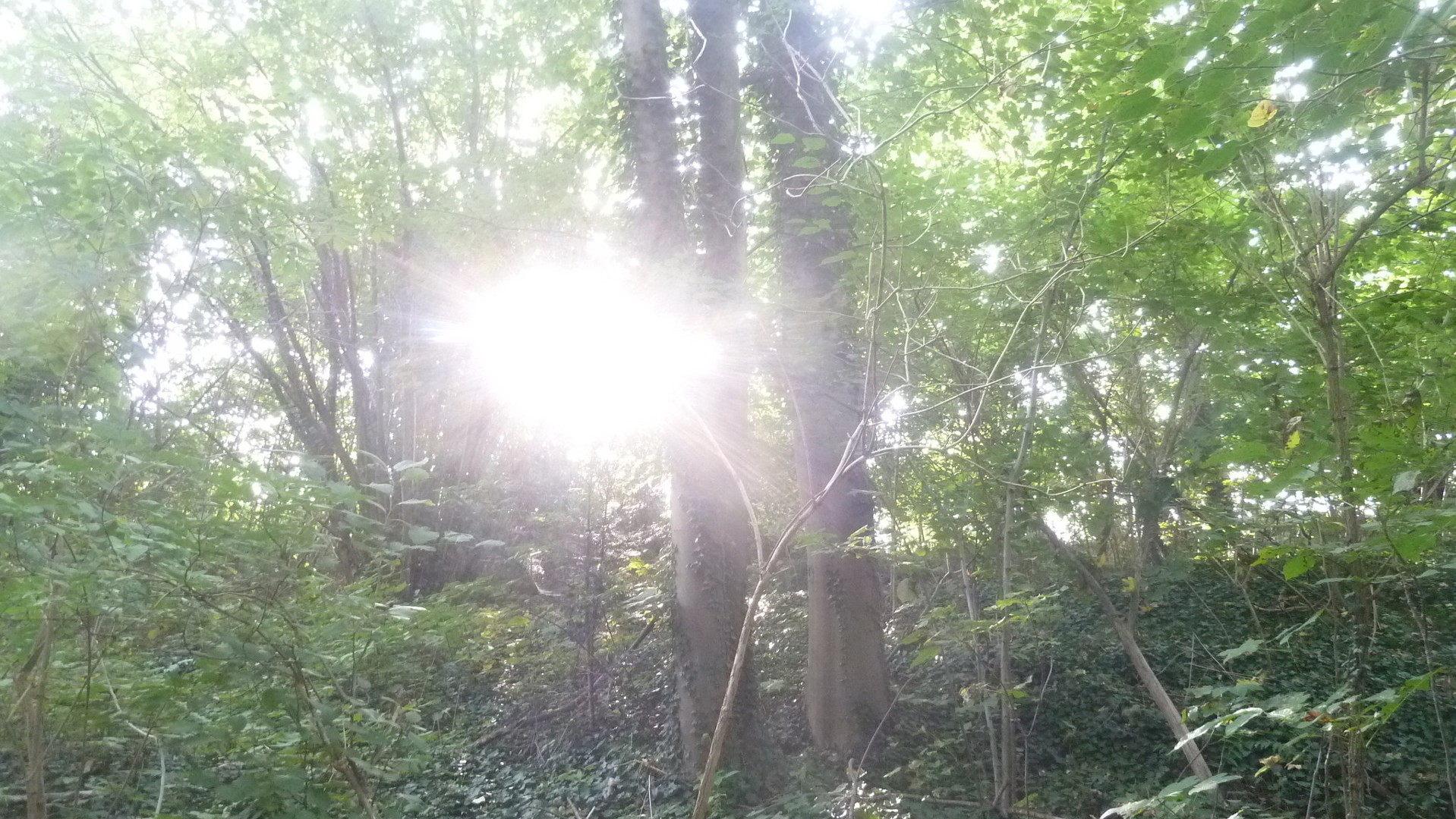 sanierbar ist das Grundst&uuml;ck 