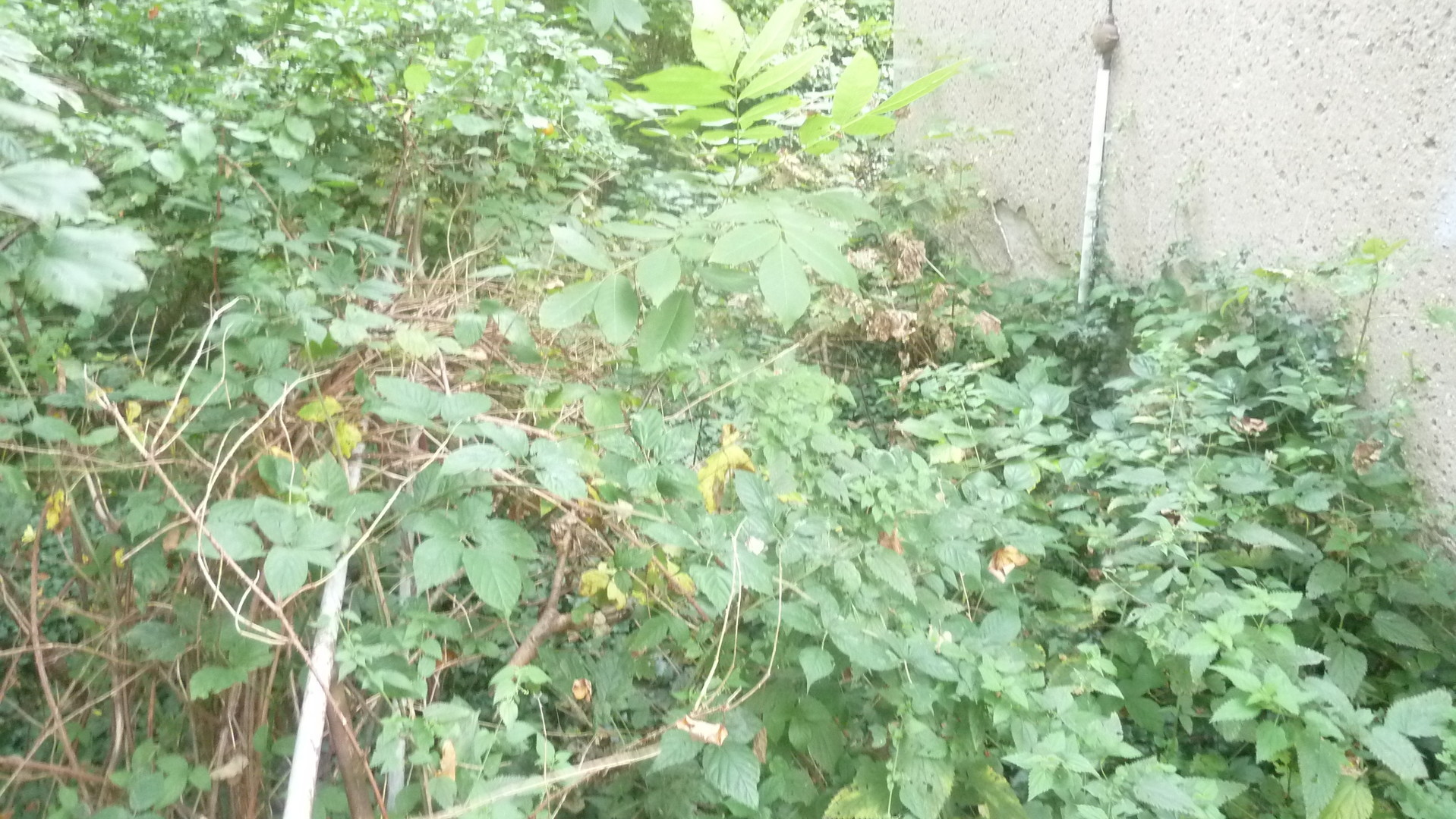 auf dem bestehenden Wohngeb&auml;ude- 