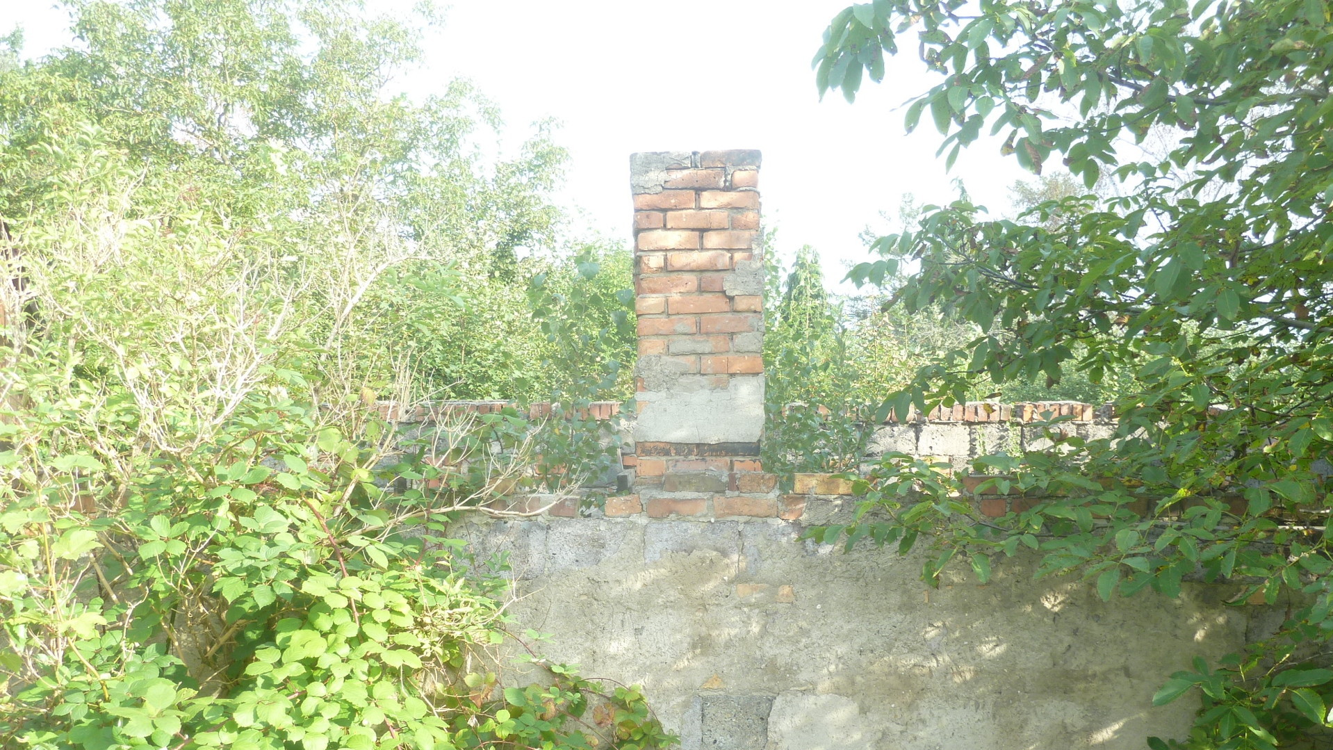 da hierf&uuml;r der Bestandsschutz gilt- 