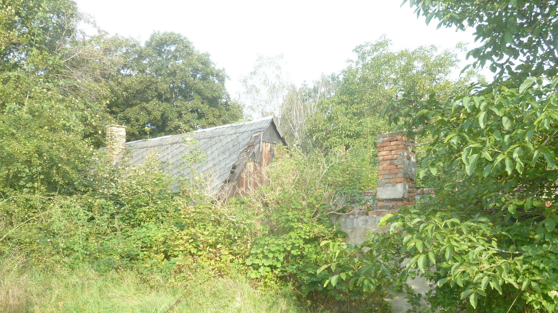 Eine Vollrenovierung ist erforderlich- 