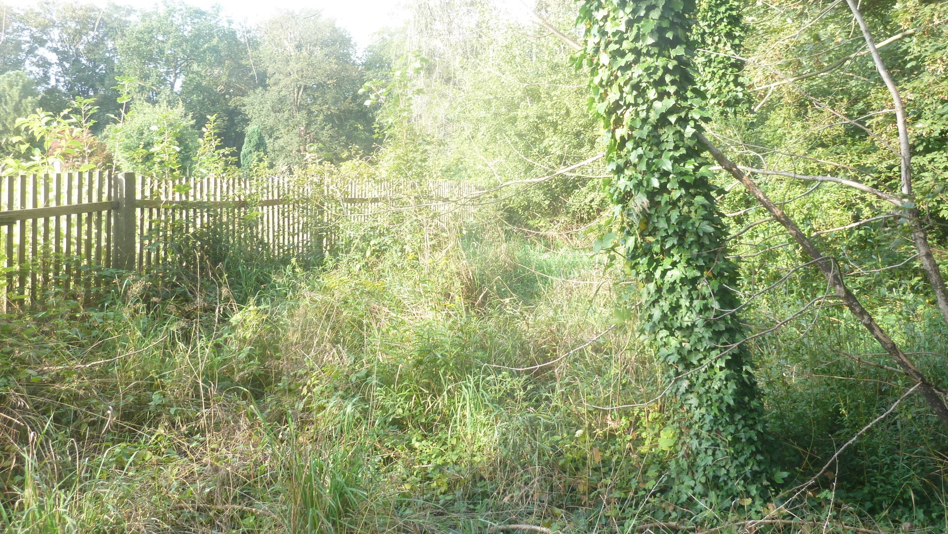 hierzu erfolgte bereits eine 